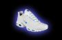 climacool.jpg